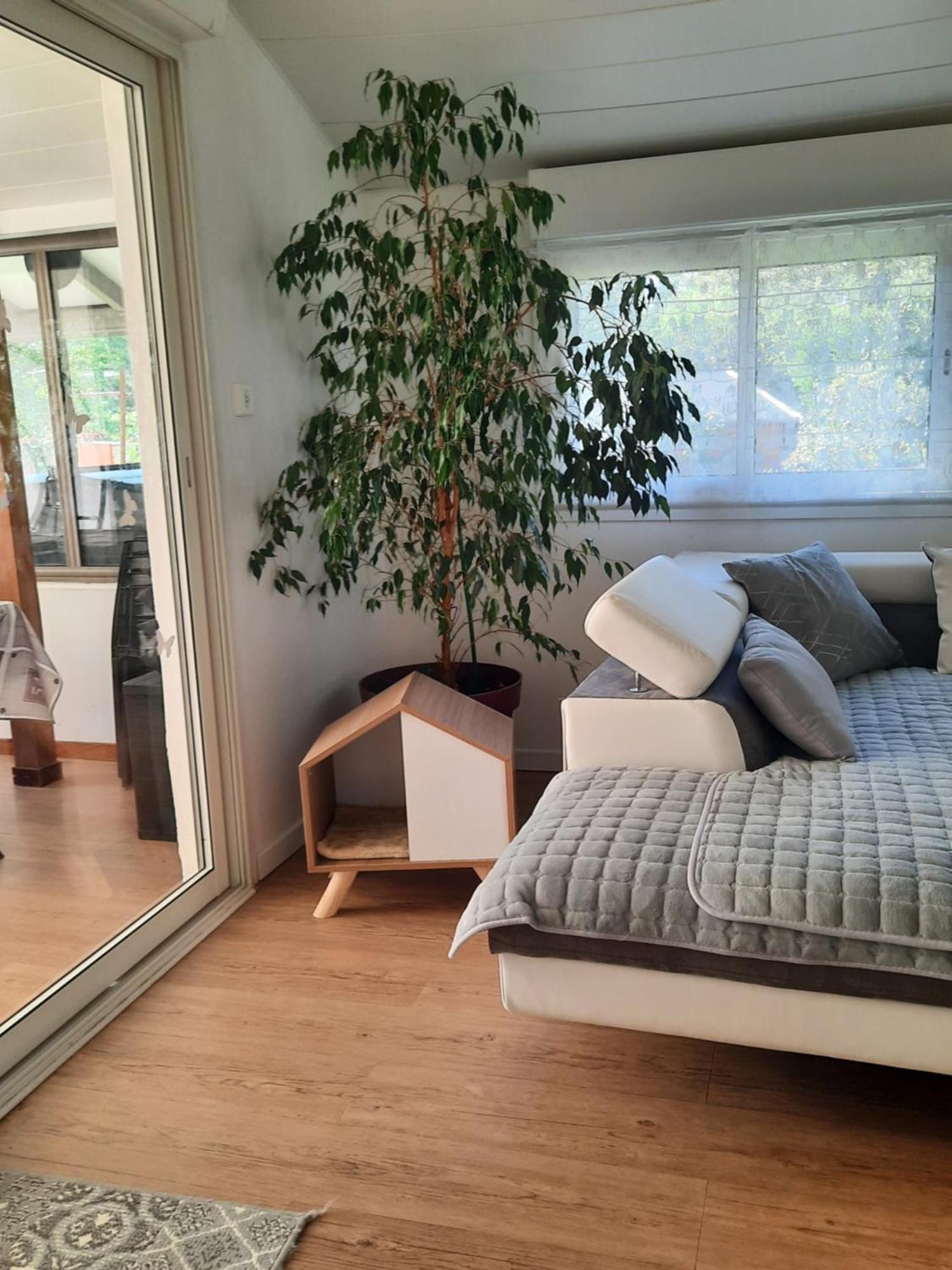 Gite Ma Vie La 3 Etoiles, Jacuzzi, Animaux Acceptes Saint-Julien-de-Cassagnas Zewnętrze zdjęcie